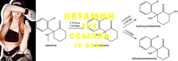 прущие грибы Балахна