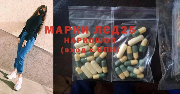 прущие грибы Балахна