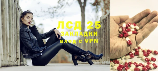 прущие грибы Балахна